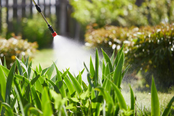 24/7 Emergency Wasp Removal experts in Mack, OH